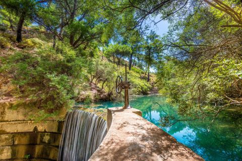 rhodes transfer services